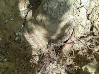 CIMG0124.JPG