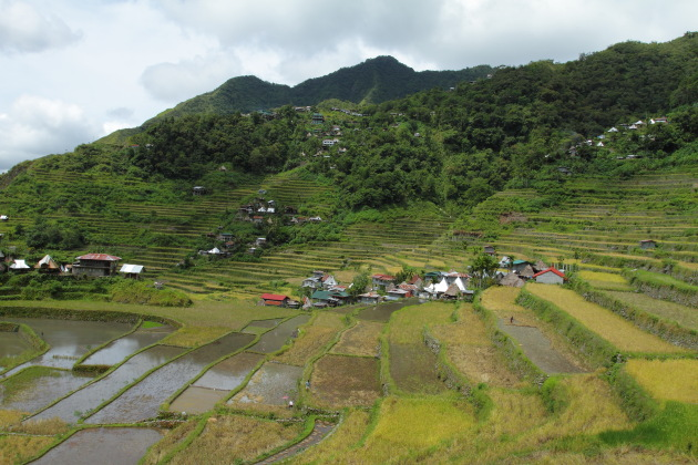 The stone walled Batad Rice terraces - a UNESCO world heritage site and eighth wonder of the world