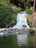 IMG_7311.JPG