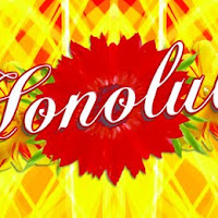 FLYERS_2011