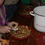 IMG_4853.JPG