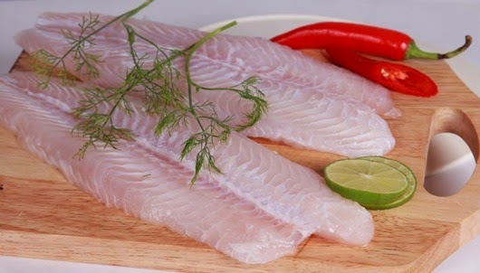 Pangasius_fish_Pangasius_Hypophthalmus
