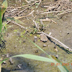 DSCN9493.JPG