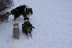 _DSC0041.JPG