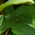 P1080859