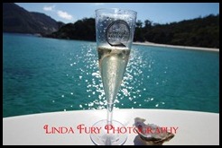 Cruise 026