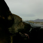 Rikka watching the road