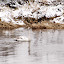 2013_02_09_V_Zimowe_Spotkanie_Rowerzystow_43.JPG