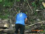 Illegal cutting of firewood along the roadside within the Alto Mayo Reserve, Peru. This is government land that borders the Abra Patricia-Alto Nieva Reserve. Despite the fact that it is illegal, many people still cut trees, gather orchids, graze livestock, and farm within this protected area.