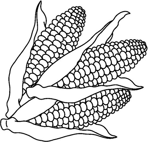 DIBUJOS PARA COLOREAR LAS TORTILLAS DE MAIZ - Imagui DIBUJOS PARA COLOREAR LAS TORTILLAS DE MAIZ - Imagui