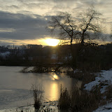 Walk in the Snow