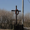 dsc07502.jpg