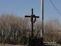 dsc07502.jpg