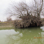 IMG_1531.JPG