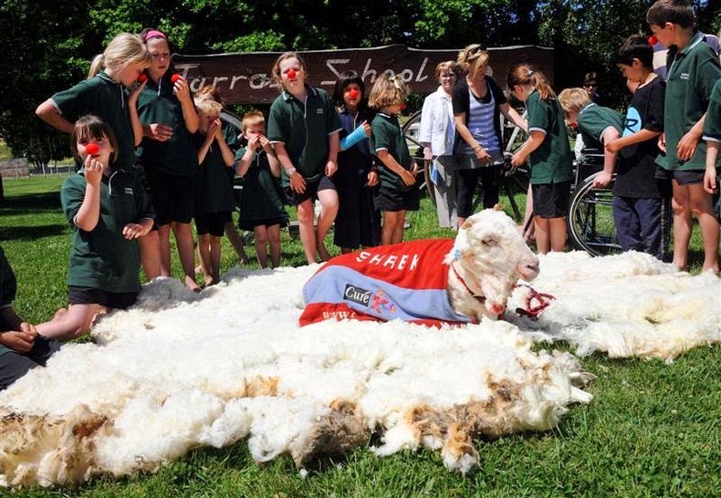 shrek-the-sheep-8 shrek-the-sheep-8