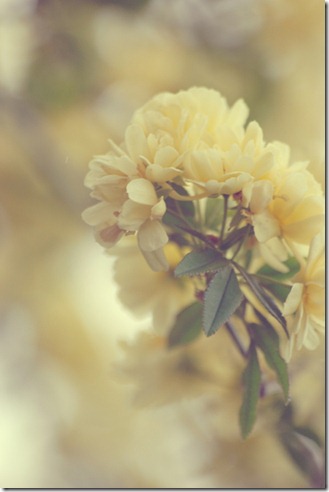 tumblr_m66nb0ESYu1qd1wmco1_400