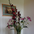 DSC02166.JPG