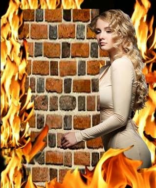 [clip_image00252.jpg]