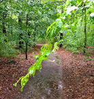 IMG_4098.JPG
