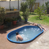 Fun in the pool