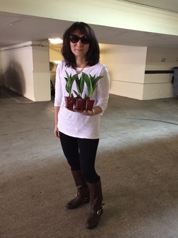 [004%255B3%255D.jpg]