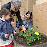Kids Planting