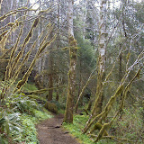 saddlemtn2.jpg