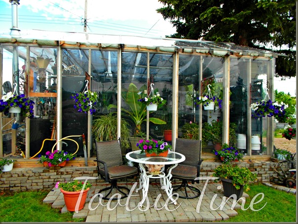 BeFunky_110.jpg BeFunky_110.jpg