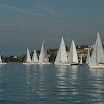AIG_7140.JPG