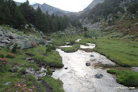 IMG_0846.JPG Photo