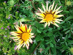 2011-04-14 13.49.53.jpg