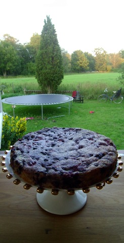 [PICT0001%255B3%255D.jpg]