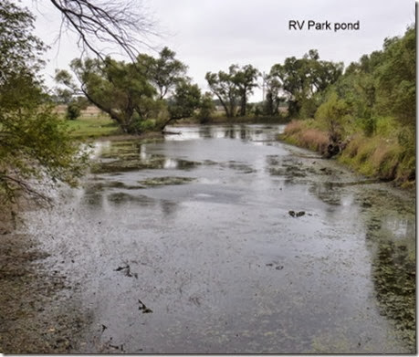 RV Park pond RV Park pond