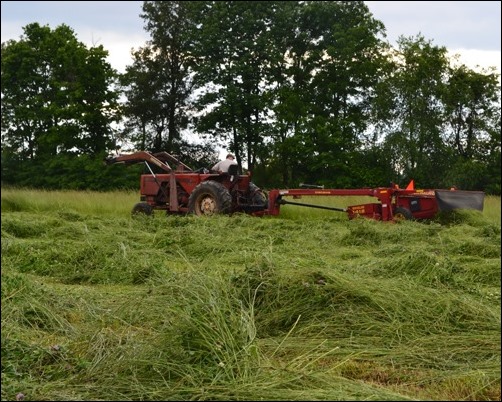 cutting hay