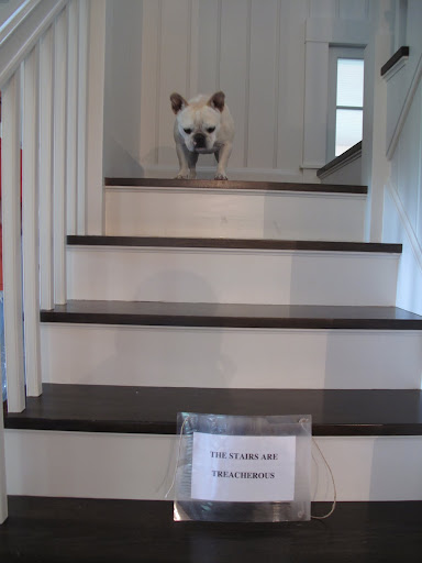 Well, that was a bad idea!  I didn't see that sign on my way up the stairs!