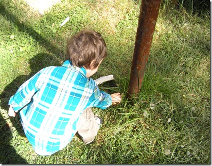 Thing 1 finding an Easter Egg Thing 1 finding an Easter Egg