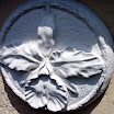 FL 2009 American Orchid Society (10).JPG