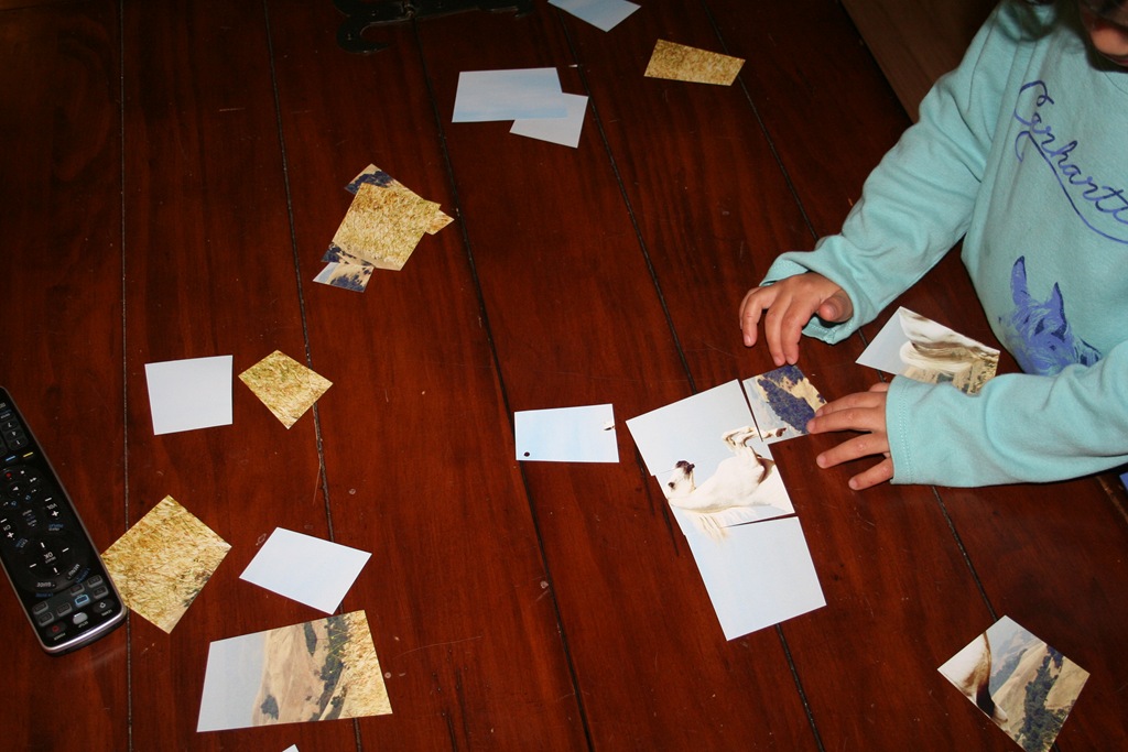 [IMG_9973%255B3%255D.jpg]