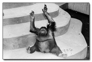 [clip_image001%255B4%255D.jpg]