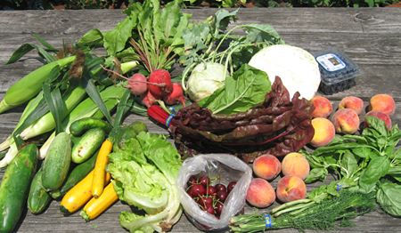 This week's bounty: Swiss chard, kohlrabi, cabbage, cukes, zukes (including yellow ones), beets, lettuce, basil, dill, corn, cherries, blueberries, and peaches. Oh, my! This week's bounty: Swiss chard, kohlrabi, cabbage, cukes, zukes (including yellow ones), beets, lettuce, basil, dill, corn, cherries, blueberries, and peaches. Oh, my!