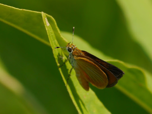 P1110025