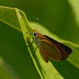 P1110025