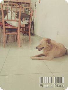 C360_2012-04-22-10-19-20