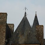 DSC_8771.JPG