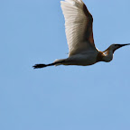 IMG_0869.JPG