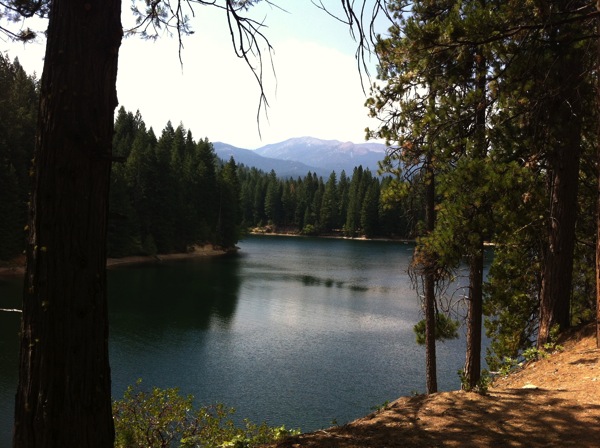 siskiyou.jpg Siskiyou
