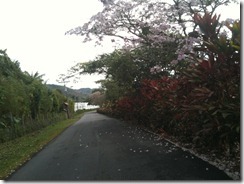 IMG_0526 IMG_0526