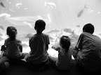 DSCN4090.JPG