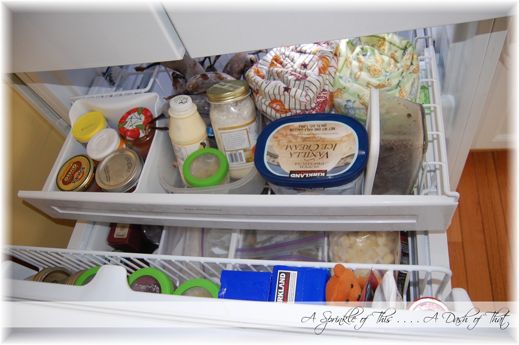 [Bottom%2520Freezer%2520Basket%2520After%2520%257BA%2520Sprinkle%2520of%2520This%2520.%2520.%2520.%2520.%2520A%2520Dash%2520of%2520That%257D%255B4%255D.jpg]