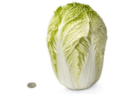 [28-chinese-cabbage%255B1%255D%255B6%255D.jpg]